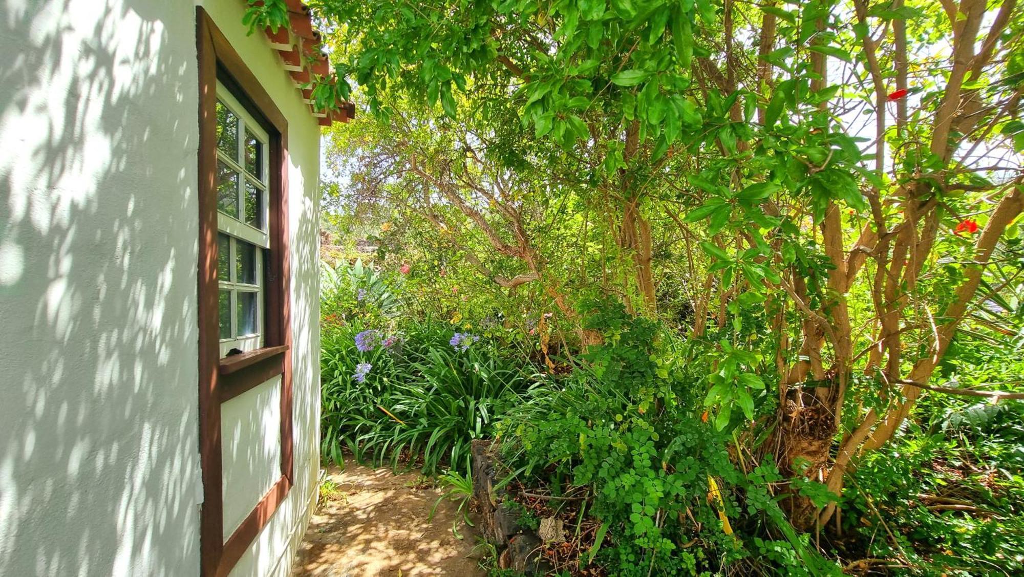 El Jocamo Villa Puntagorda Exteriör bild